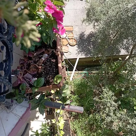 Villa Helal El Diyar Ayranci Village