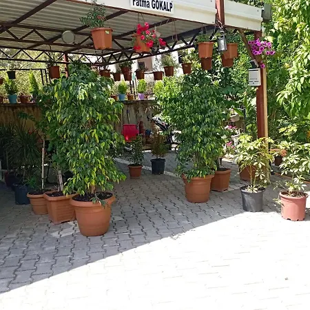 Helal El Diyar Ayranci Village Villa *