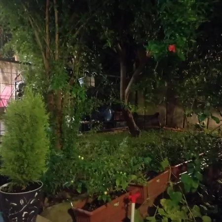 Helal El Diyar Ayranci Village