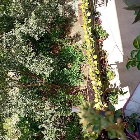 Helal El Diyar Ayranci Village Villa *