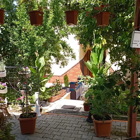 Villa Helal El Diyar Ayranci Village